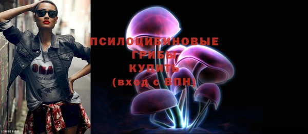 МДПВ Белокуриха