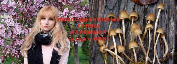 МДПВ Белоозёрский