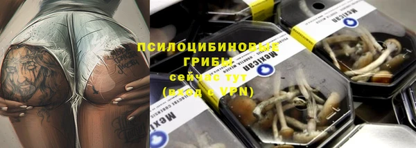 МДПВ Белокуриха